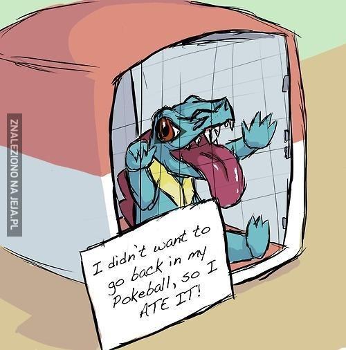 Niegrzeczny Totodile