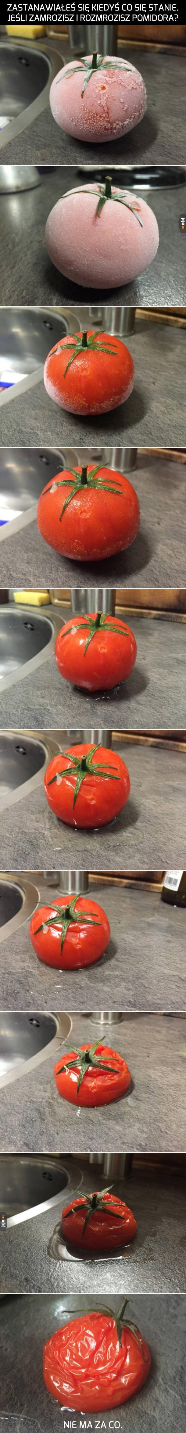 Mrożony pomidor
