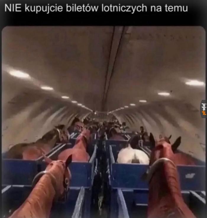 Nie polecam