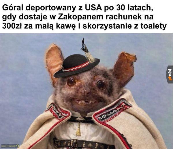 Co jest