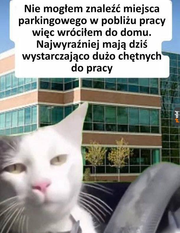 Czas na prace zdalną