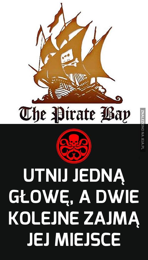 Moja pierwsza myśl, kiedy usłyszałem że zamknęli Pirate Bay