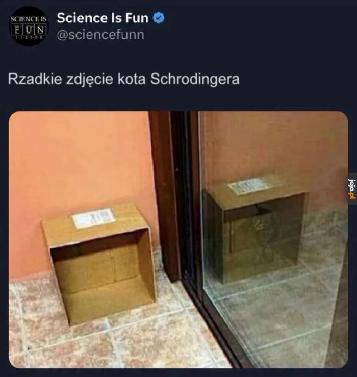 Czegoś takiego nie widzi się co dzień