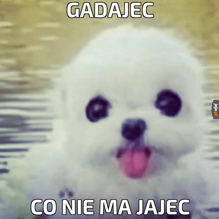 Gadajec