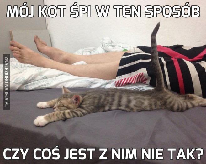 Mój kot śpi w ten sposób