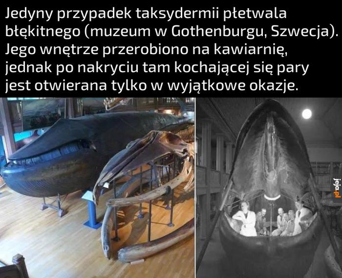 Po naszej śmierci robaki też będą się w nas kochać