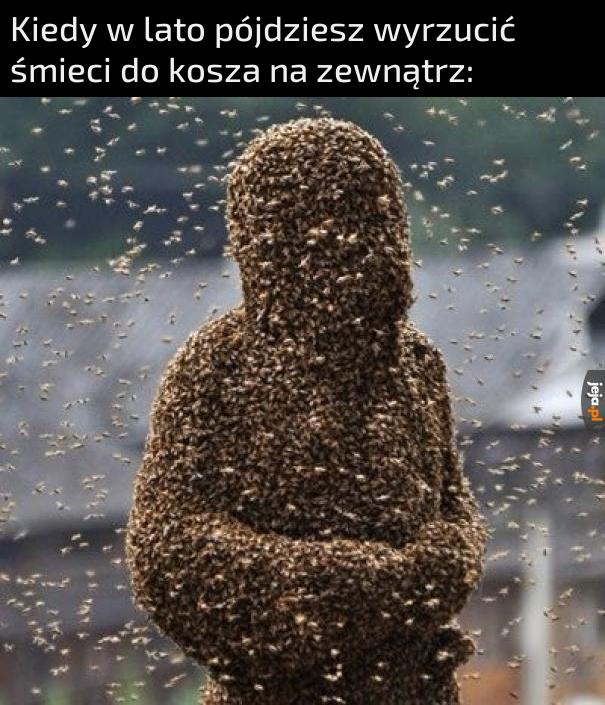 Muchy i inne robactwo