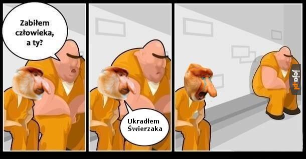 Strach się bać