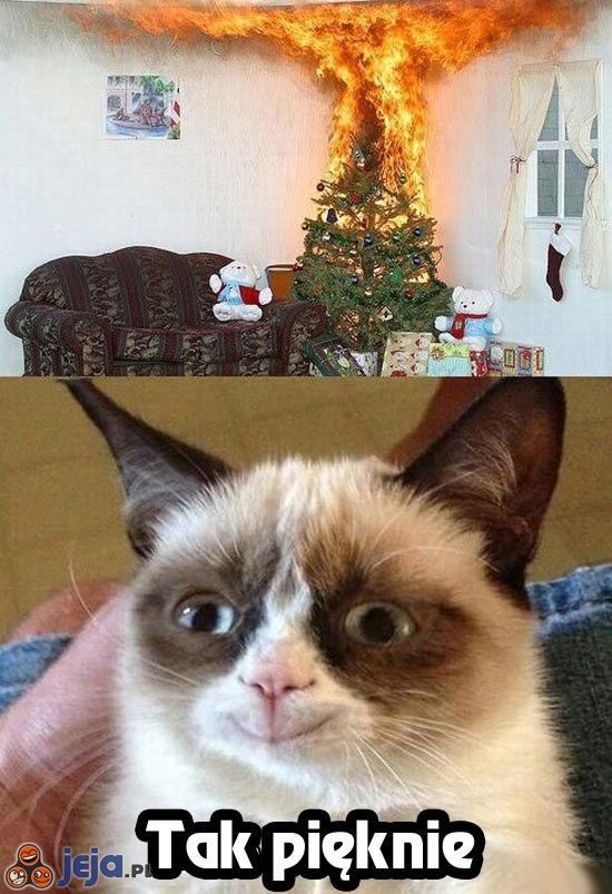 Zrzędliwy kot - świąteczny nastrój