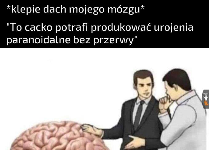 No są z nim czasem problemy