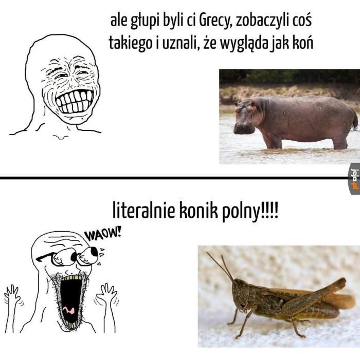 Królik Bugs na takim jeździł