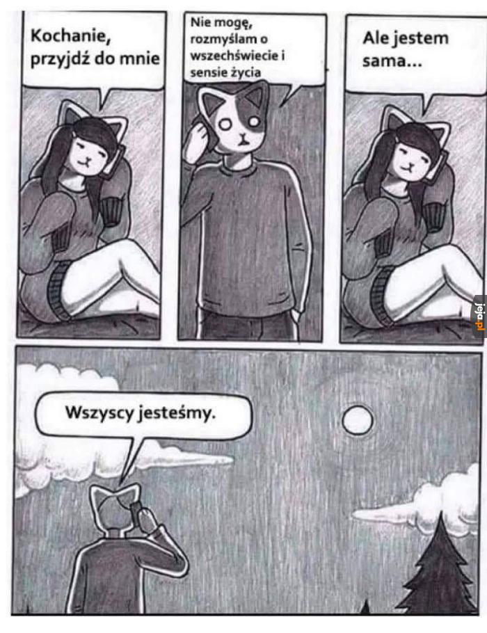 I co ci po gorącej kotce w twojej okolicy