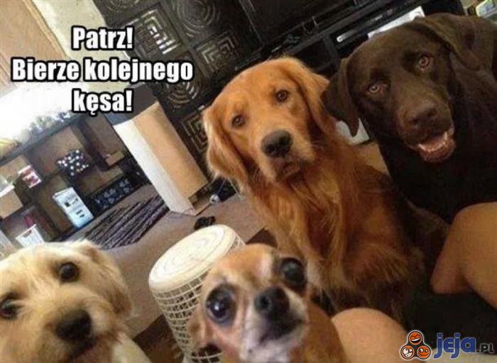 Może teraz coś da!