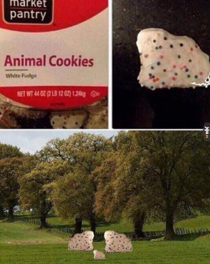 Ciasteczka w kształcie zwierząt