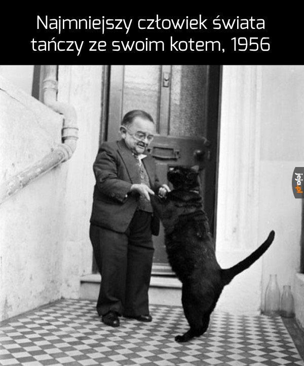 Albo największy kot świata tańczy ze swoim właścicielem, nie wiem