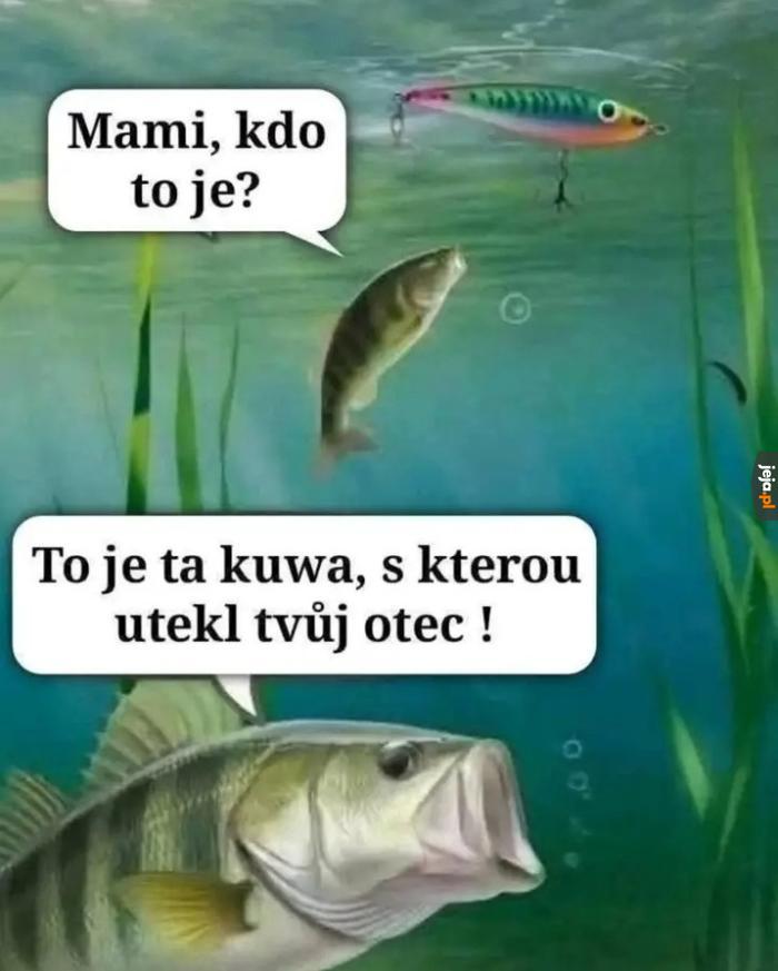 Tak było