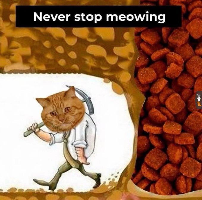 Miau