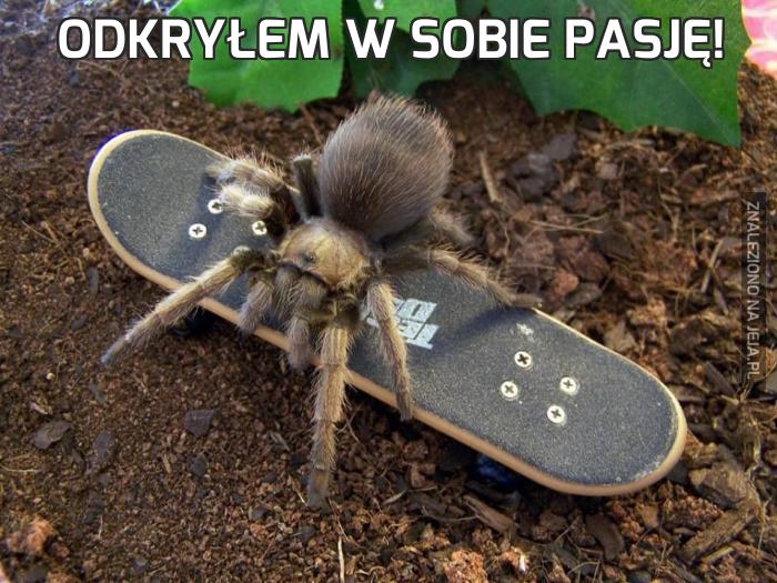 Odkryłem w sobie pasję!