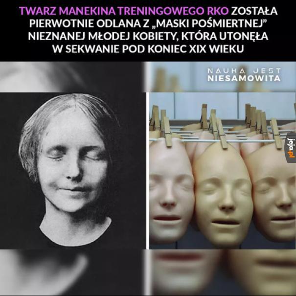 Wiedziałeś?