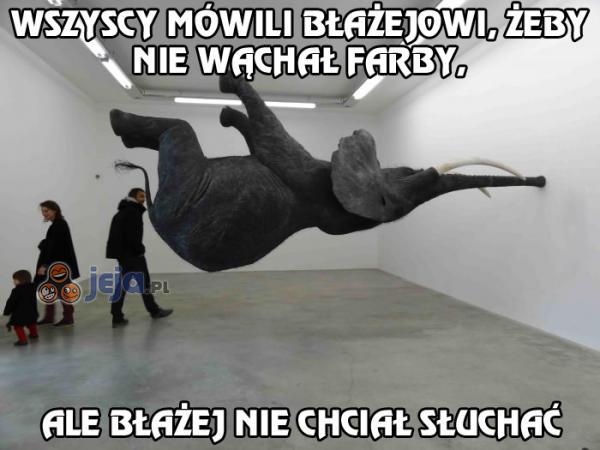 Nieogarnięty słoń Błażej