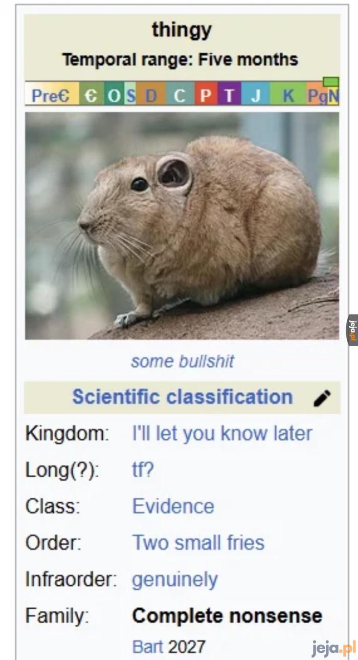Myszochuj