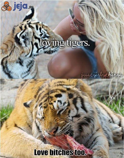 Tygrysy i laski uwielbiają się nawzajem