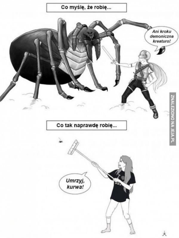 Niesamowita walka z pająkiem