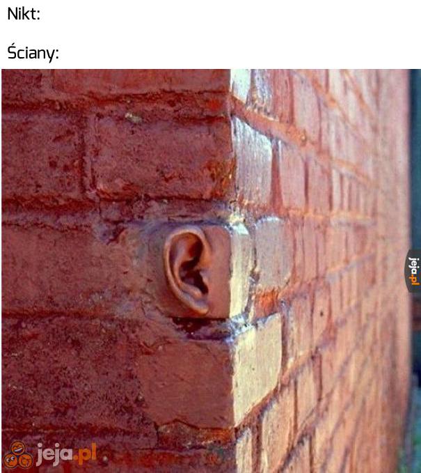 Uszy mają ściany