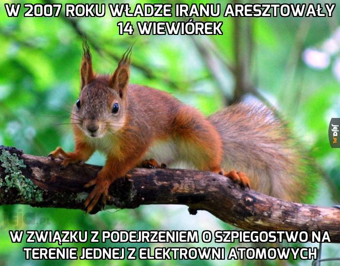 Ciekawe czyimi agentami były