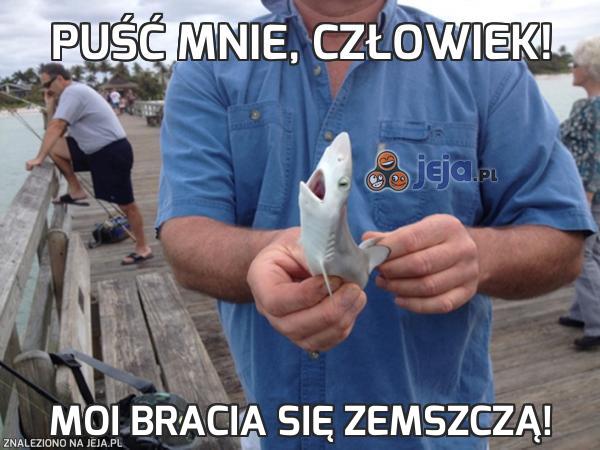 Puść mnie, człowiek!