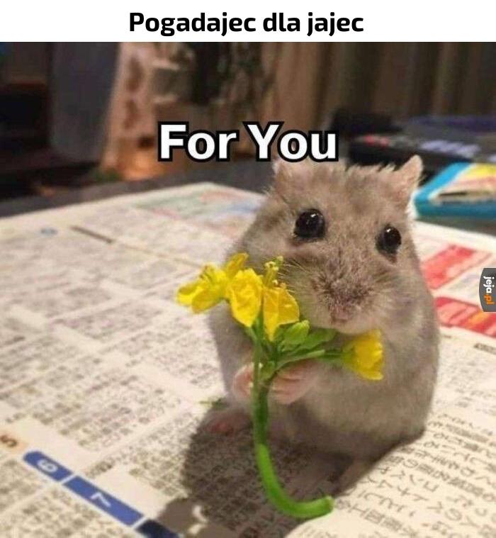 Gadajmy