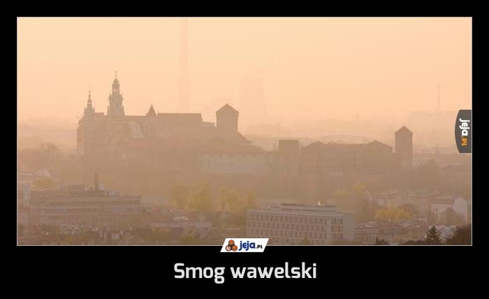 Smog wawelski