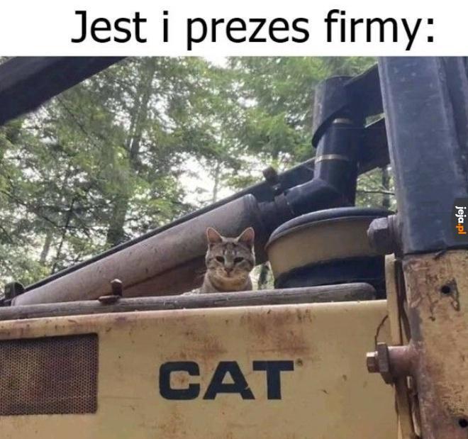 Prezes firmy
