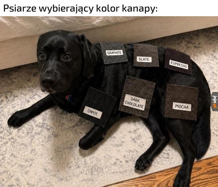 Trzeba dopasować do kłaków