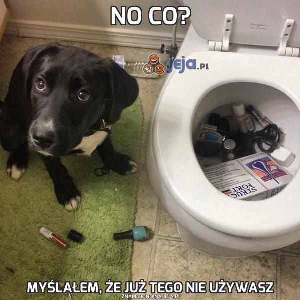 No co?