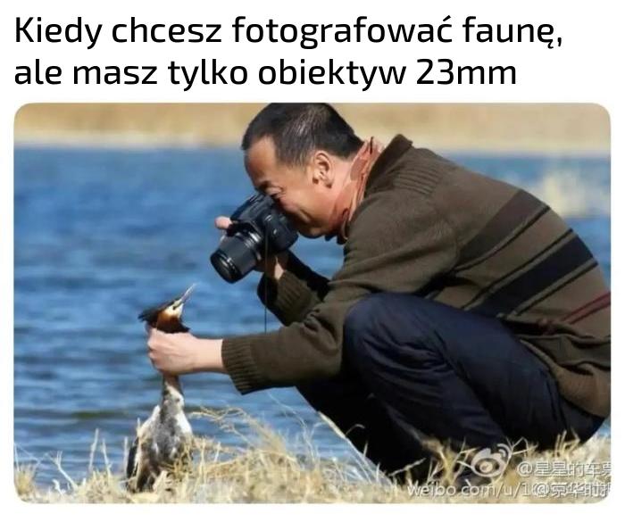 Chodź tu i nie ruszaj się