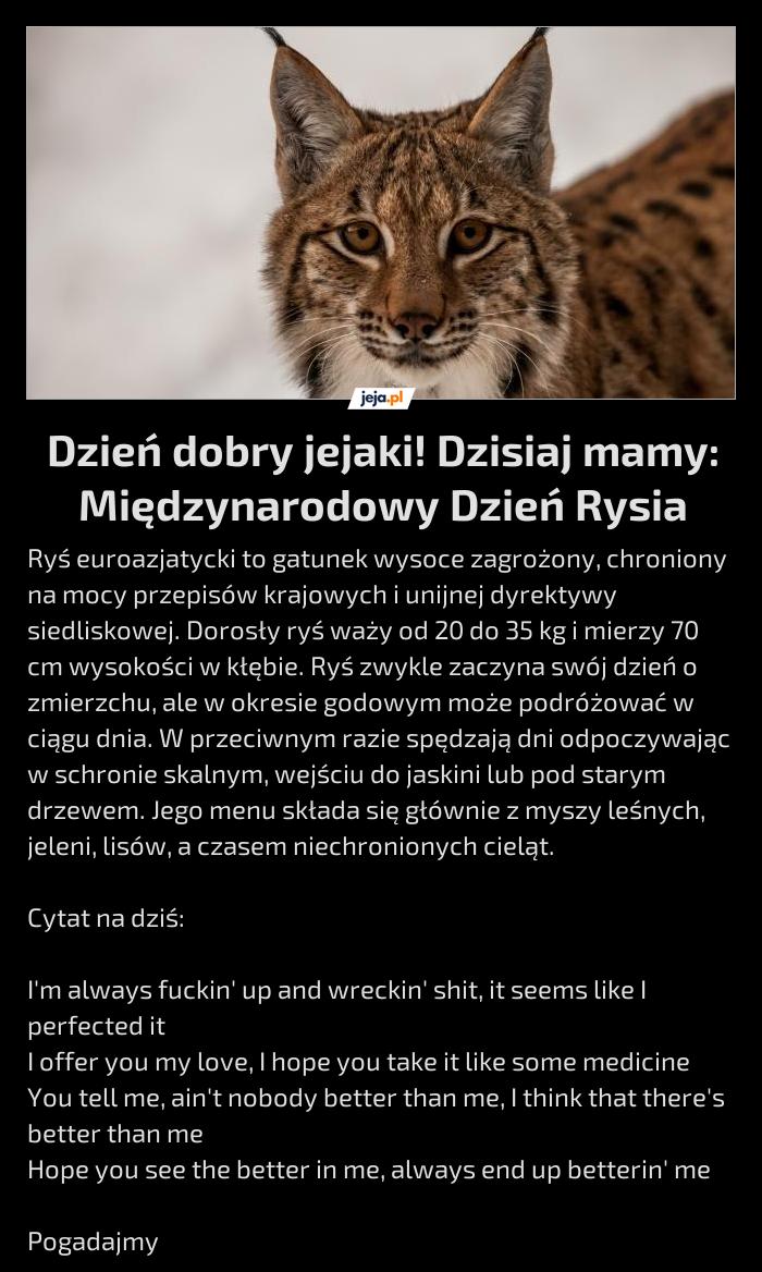 Dzień dobry jejaki! Dzisiaj mamy: Międzynarodowy Dzień Rysia