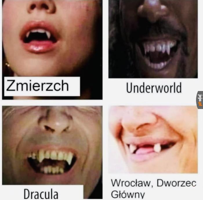 Jaki kraj, taki wampir