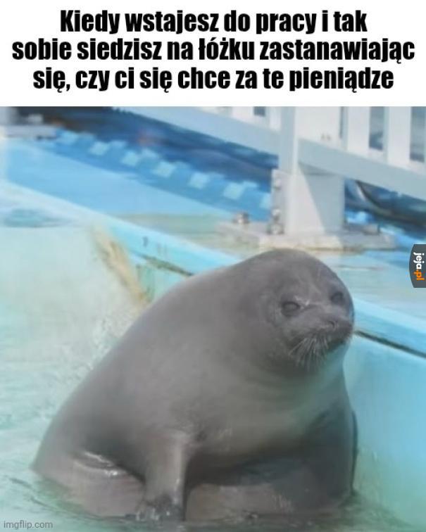 No nie wiem