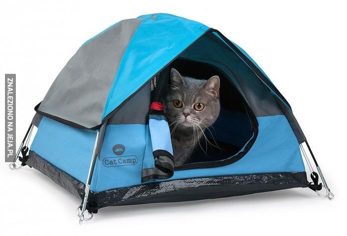 Małe namioty dla kotów