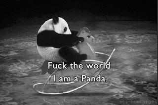 Walić świat! Jestem pandą!