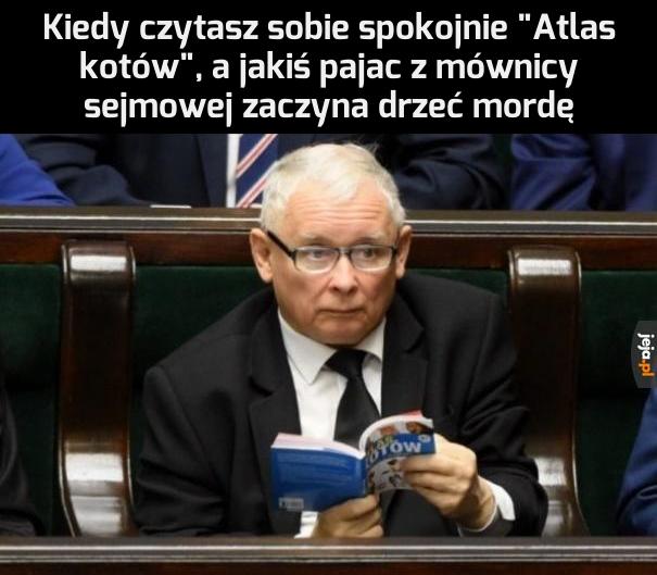 Niepoważny jakiś