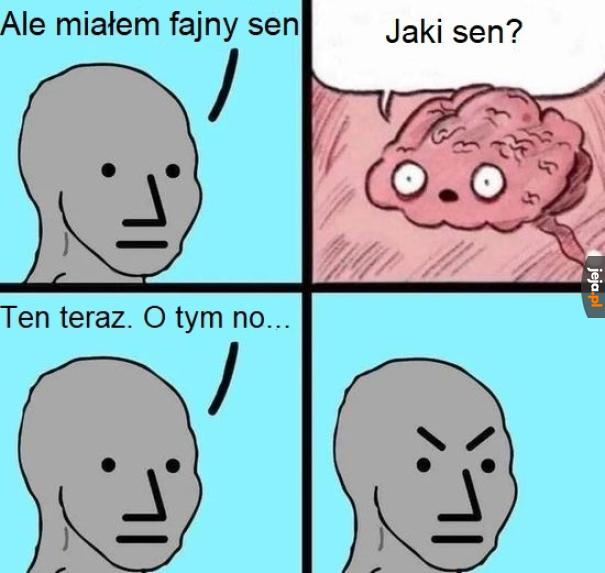 Głupi mózg
