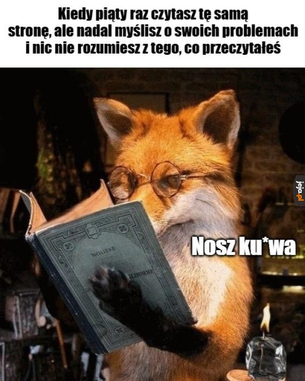 Mózgu daj mi przeczytać książkę