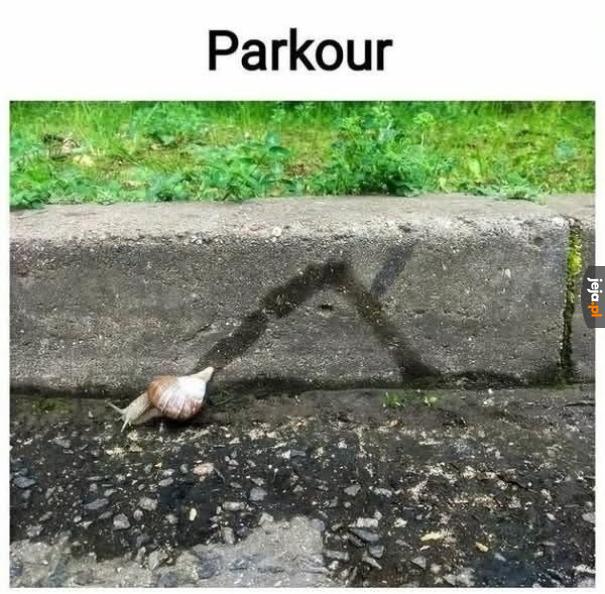 Bob the Snail?