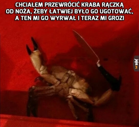 To danie jest trudniejsze, niż myślałem