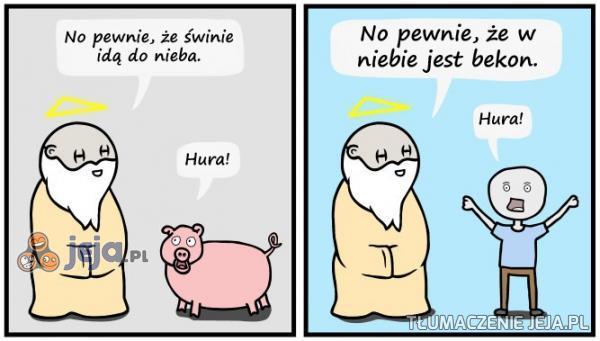 No pewnie, że świnie idą do nieba