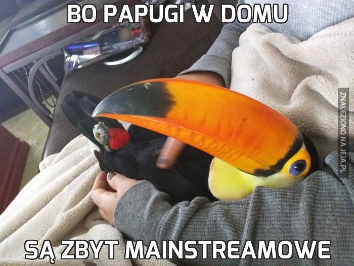 Bo papugi w domu