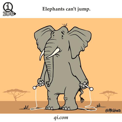 Słonie nie mogą skakać