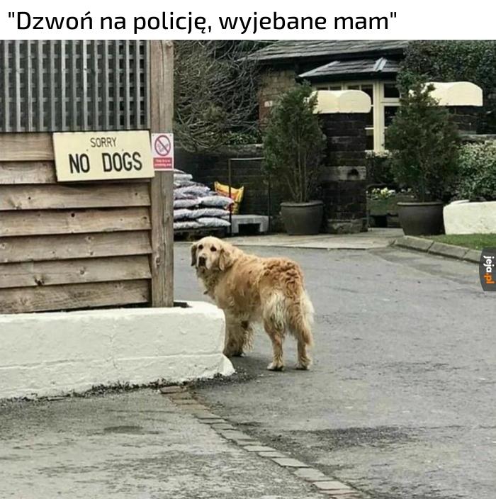 No dzwoń
